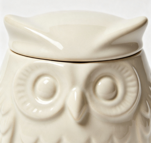 Ceramic Owl Box